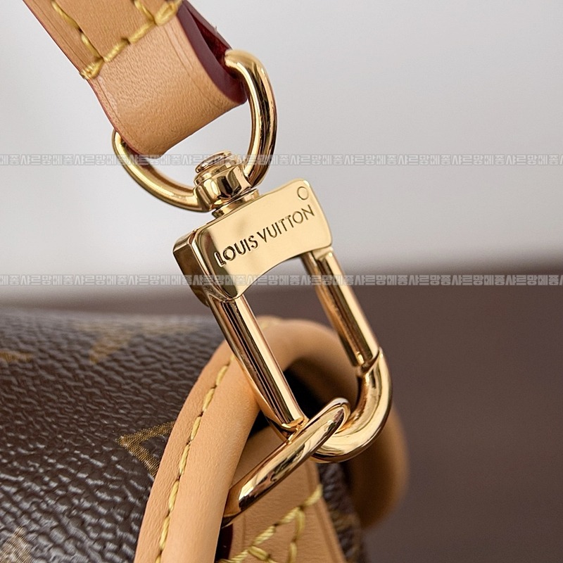 루이비통다니앤 20260116-123608-009루이비통다니앤 .jpg