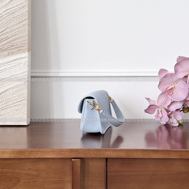 루이비통나노다이앤20260116-130253-005루 .jpg