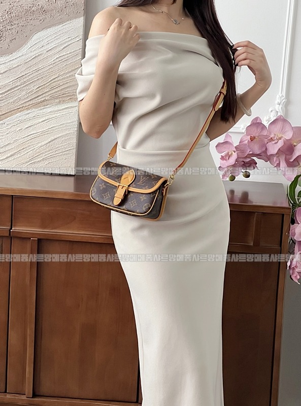 루이비통나노다이앤모노그램 20260116-131816-002루 .jpg