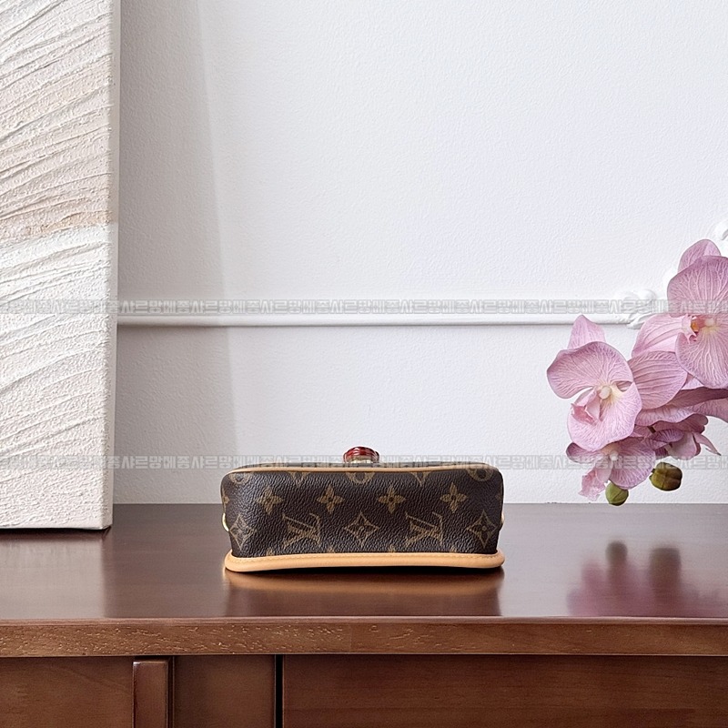 루이비통나노다이앤모노그램 20260116-131817-008루 .jpg