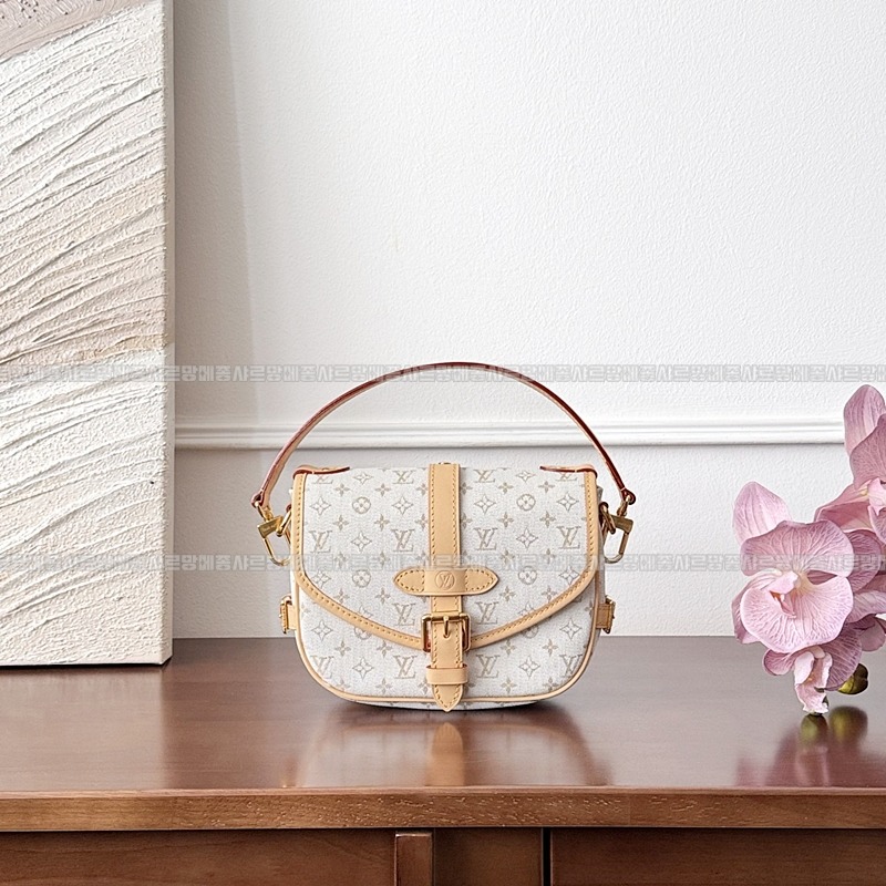 루이비통소뮈르BB 20260116-132541-005루 .jpg