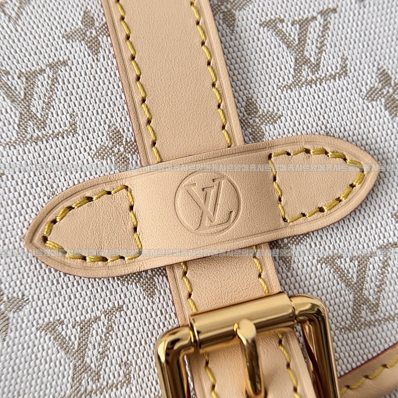 루이비통소뮈르BB 20260116-132541-010루 .jpg