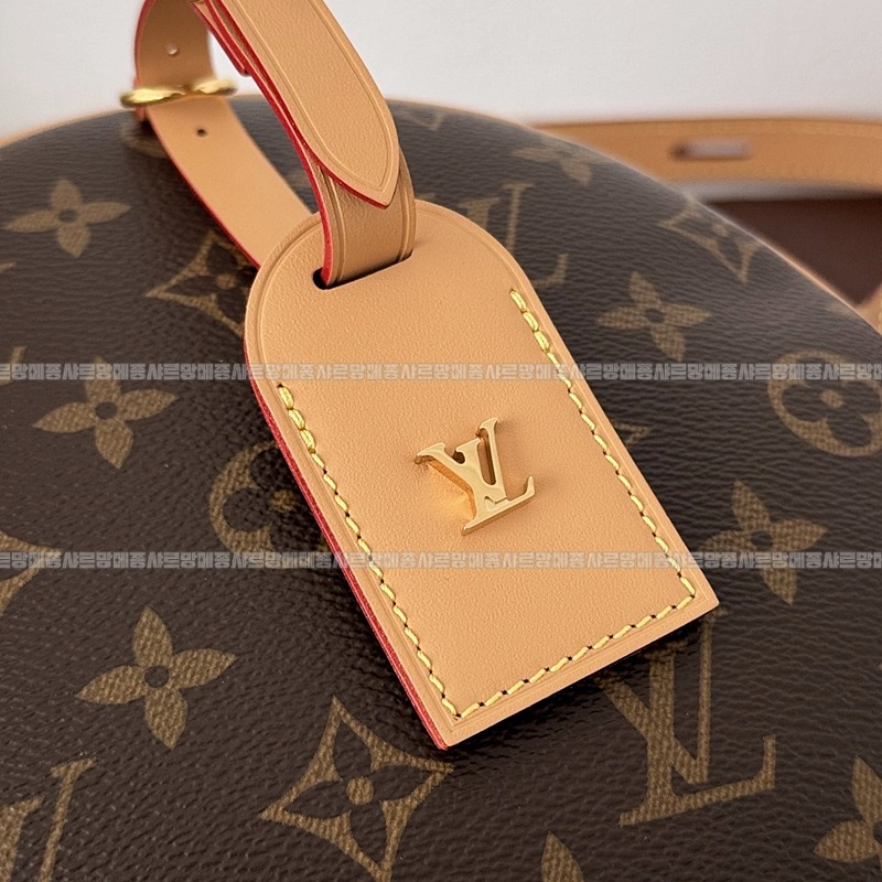 루이비통부아뜨샤포수플MM 20260116-140523-008루 .jpg