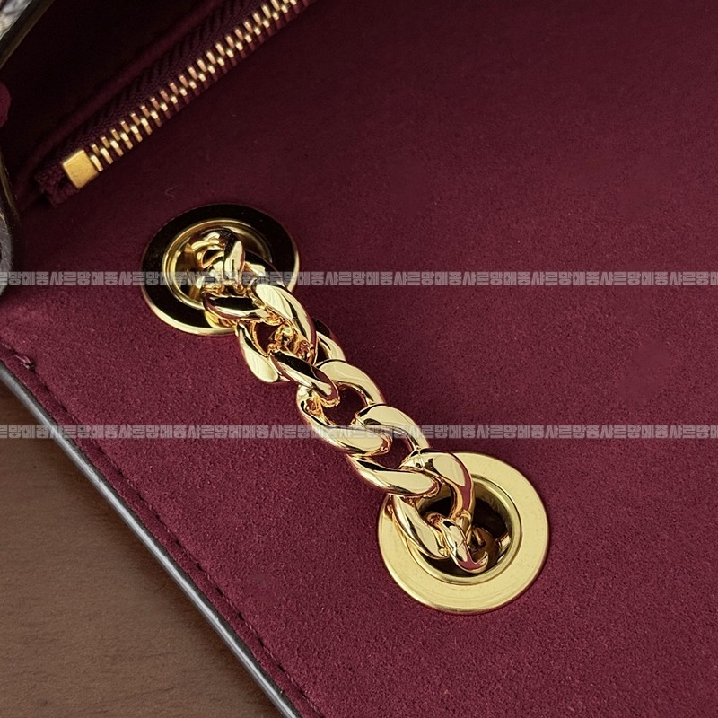 루이비통파시모노그램체인숄더백20260116-155727-012루 .jpg