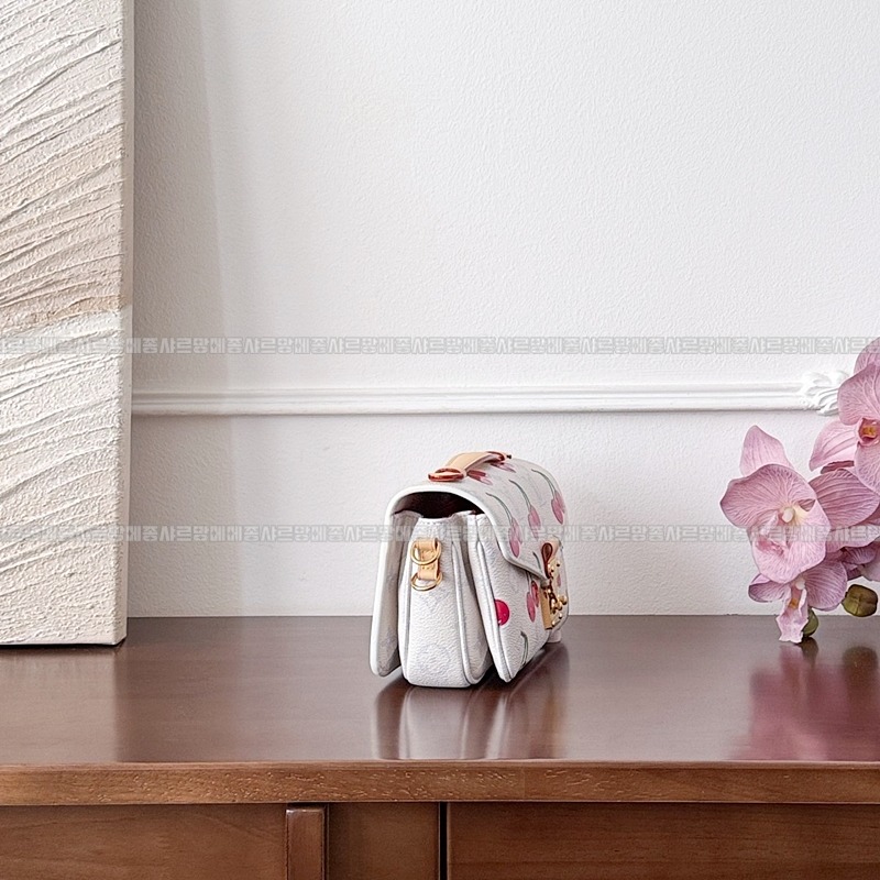 루이비통포쉐트메티스이스트웨스트 20260117-163047-007루.jpg