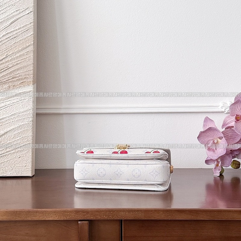 루이비통포쉐트메티스이스트웨스트 20260117-163047-008루.jpg