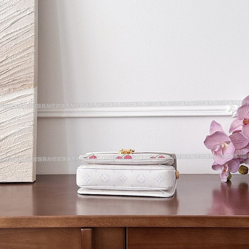 루이비통월릿온체인아이비 20260118-163814-008루.jpg