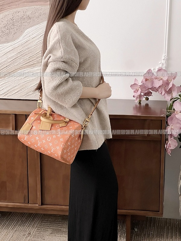 루이비통스피드P9반둘리에  20260123-122308-003루.jpg