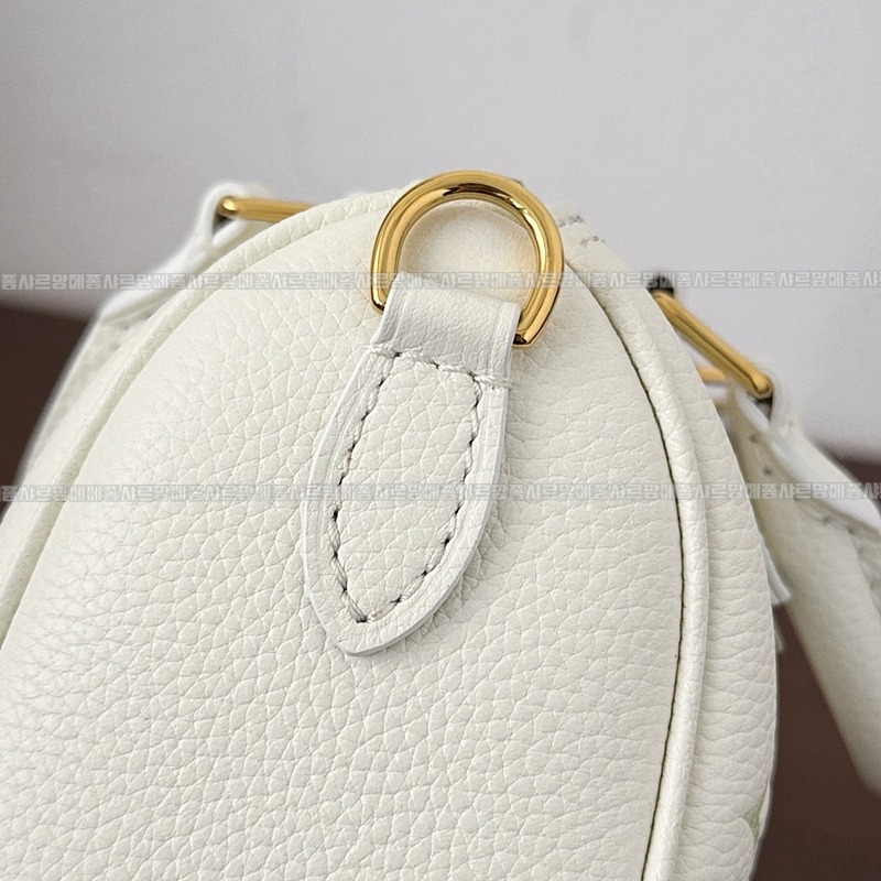 루이비통나노스피디 20260124-112547-012루.jpg