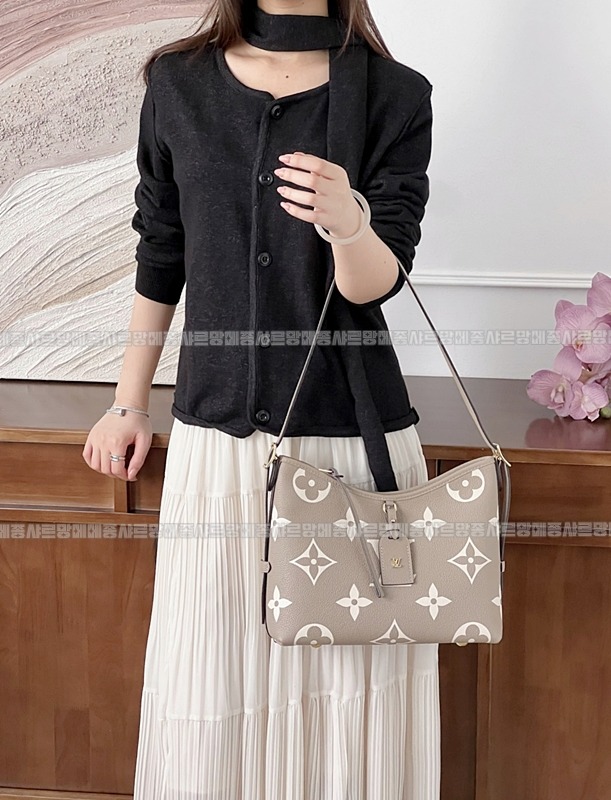 루이비통캐리올PM   20260124-132510-002루.jpg