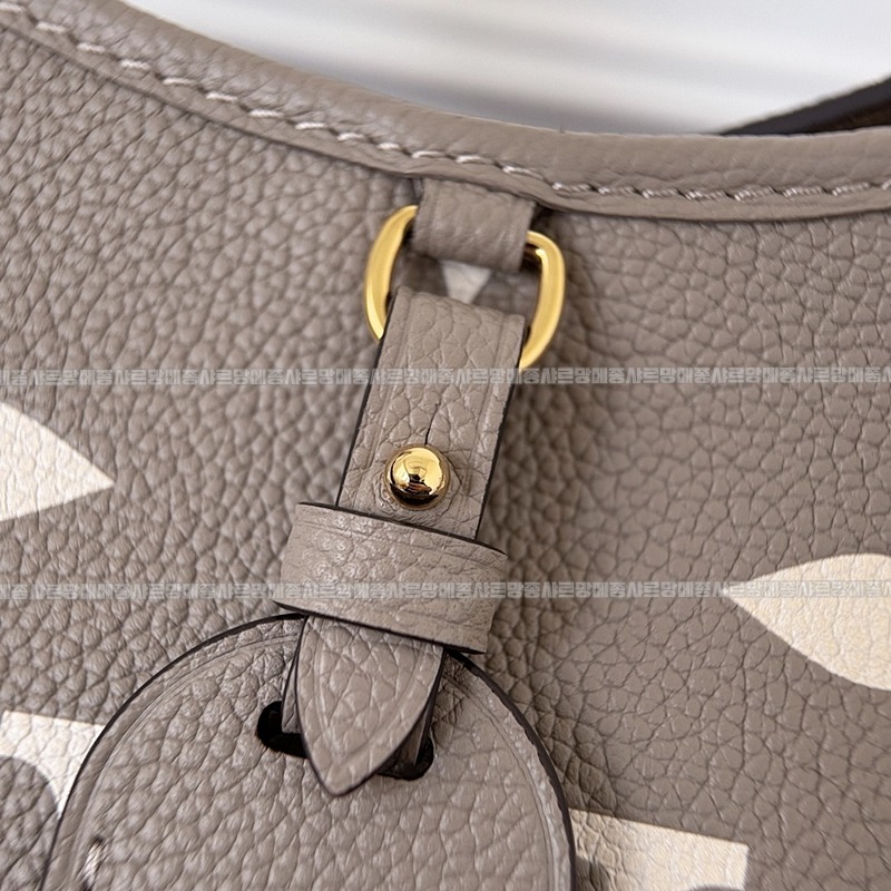 루이비통캐리올PM   20260124-132511-010루.jpg