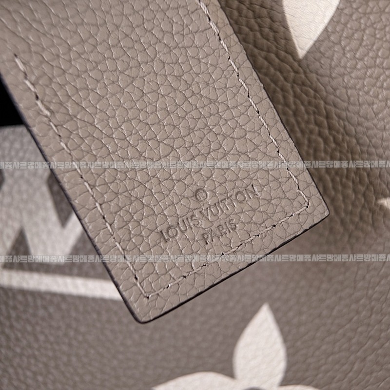 루이비통캐리올PM   20260124-132511-011루.jpg