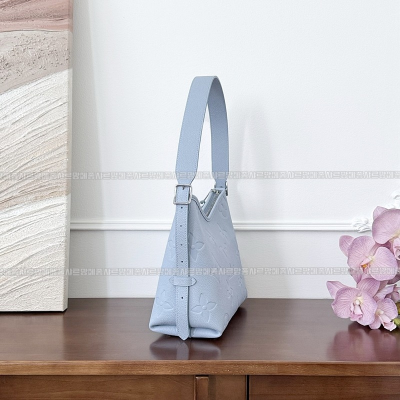 루이비통캐리올PM   20260124-144619-006루.jpg