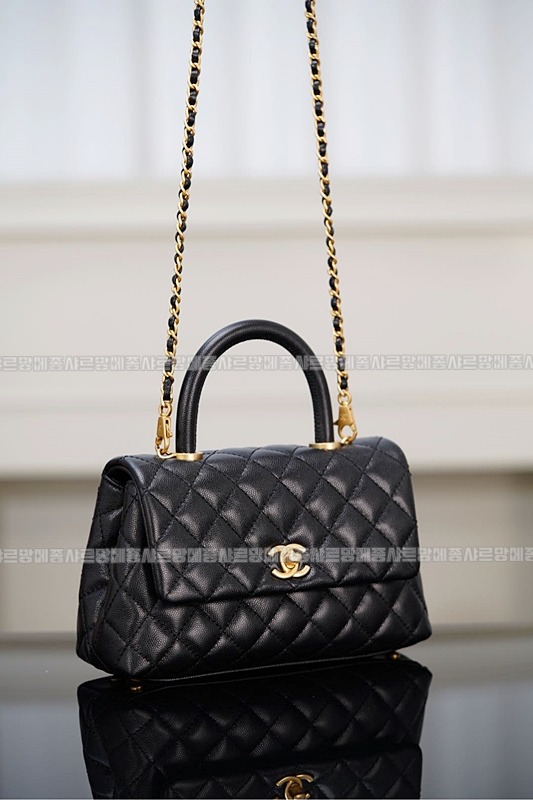 샤넬코코핸들스몰 20260130-141728-014루.jpg