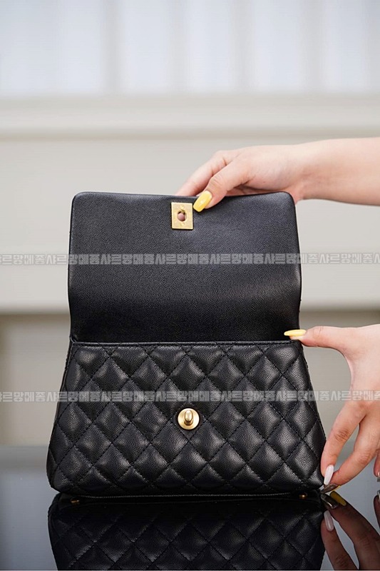 샤넬코코핸들스몰 20260130-141729-016루.jpg