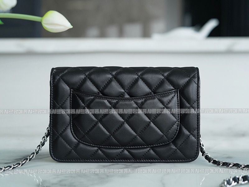 샤넬클래식WOC은장 20260202-150552-012루.jpg