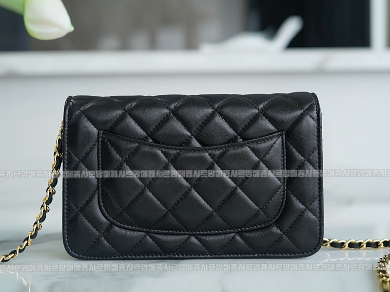 샤넬클래식WOC금장 20260202-151221-017루.jpg