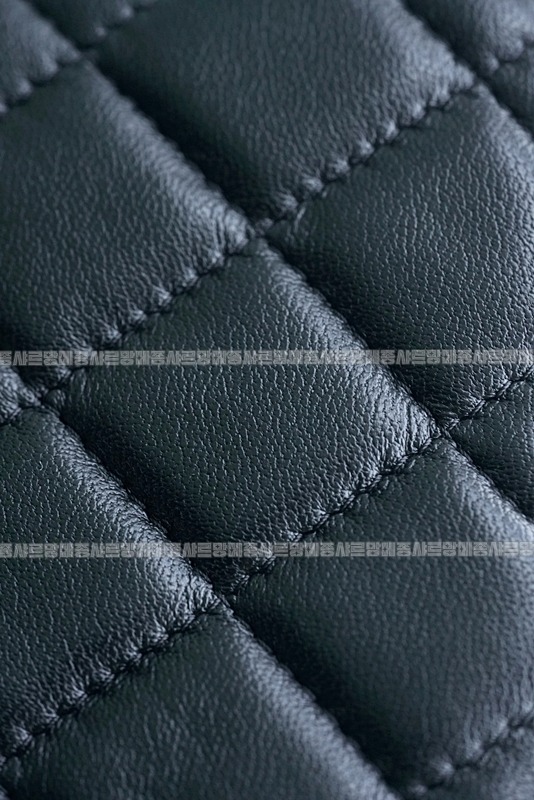 샤넬클래식WOC랰스킨금장 20260202-154030-027루.jpg