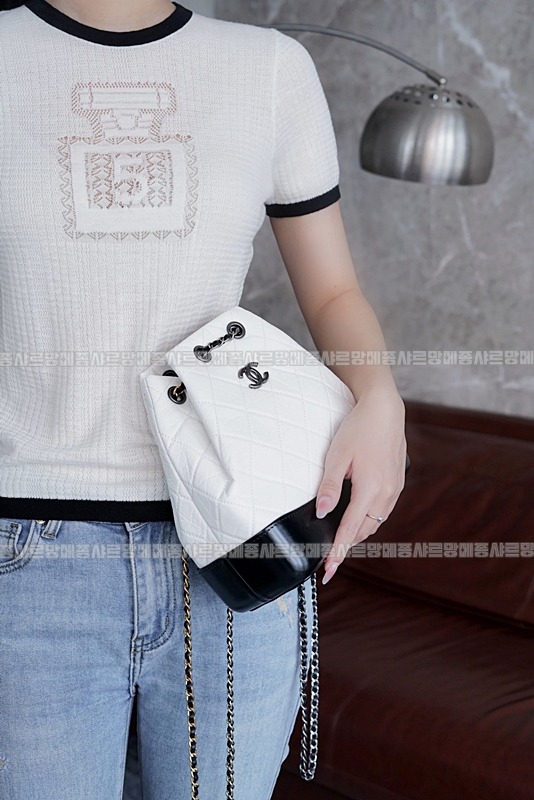 샤넬가브리엘백팹 20260203-160900-004루.jpg