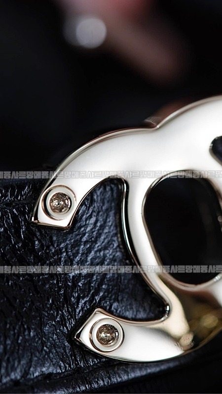 샤넬31미니쇼핑백 wsxc1770307640651_5루.jpg