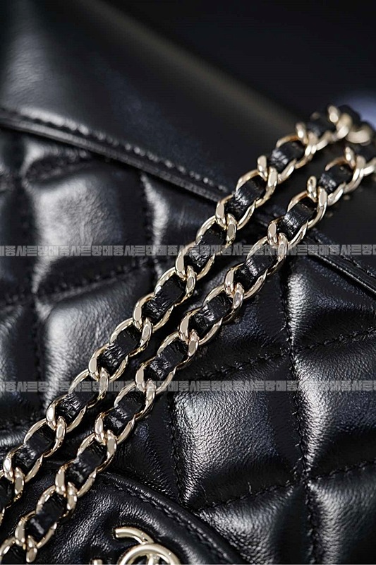 샤넬31나노백 wsxc1770310710900_1루.jpg