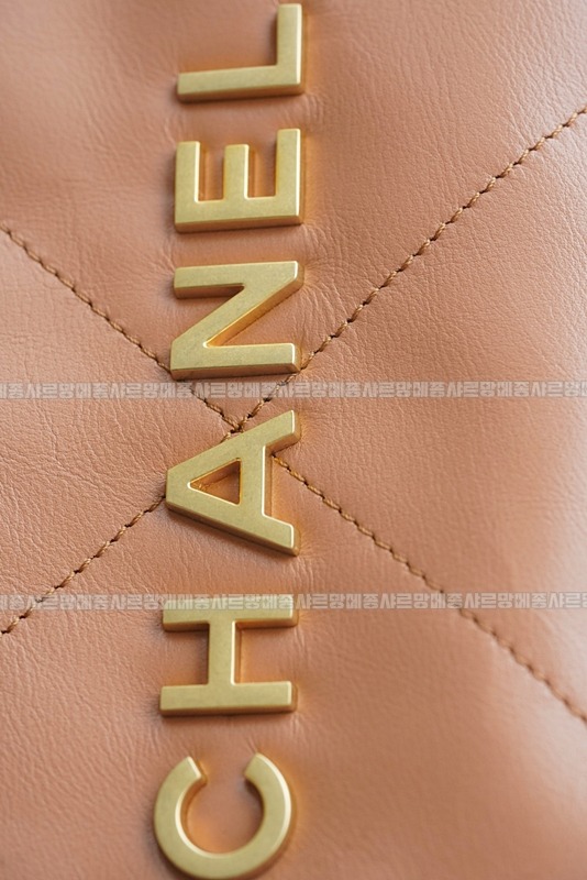 샤넬22핸드백미디움카라멜 20260206-103807-019루.jpg