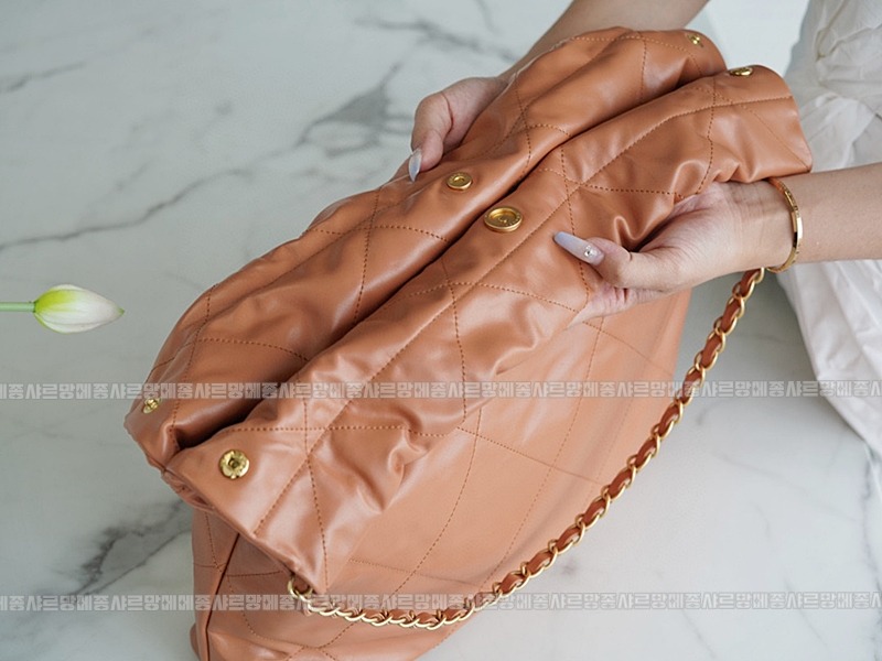 샤넬22핸드백미디움카라멜 20260206-104933-013루.jpg