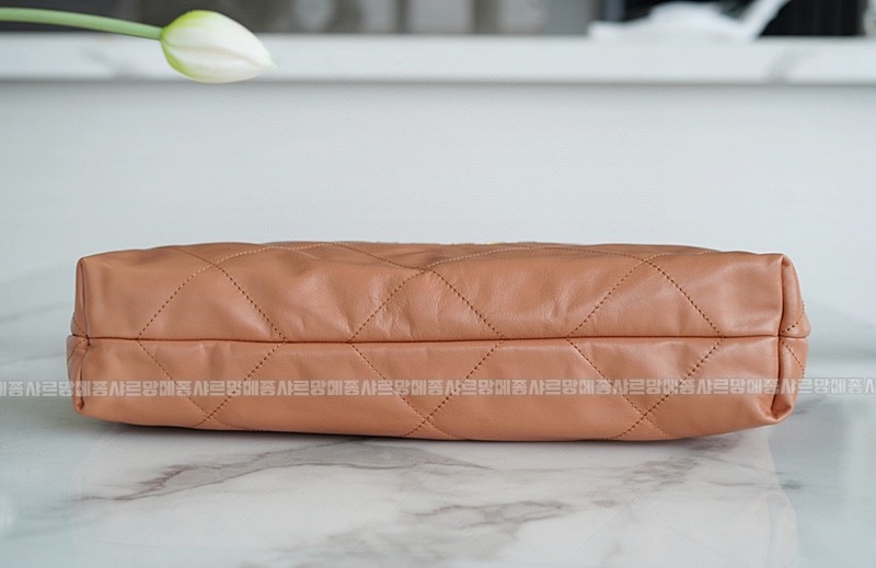 샤넬22핸드백미디움카라멜 20260206-104933-014루.jpg