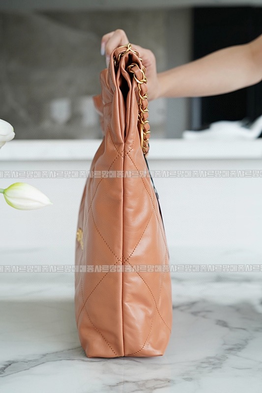 샤넬22핸드백미디움카라멜 20260206-104933-016루.jpg