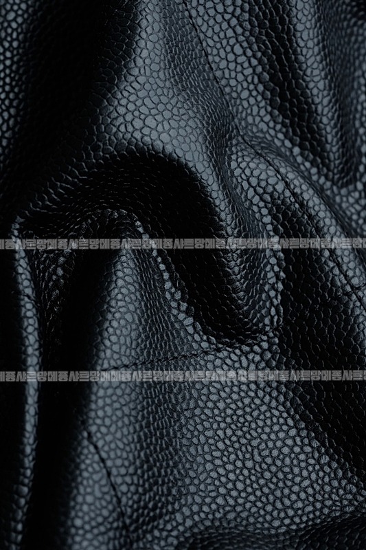 샤넬22백팹스몰블랙금장 20260206-135335-017루.jpg