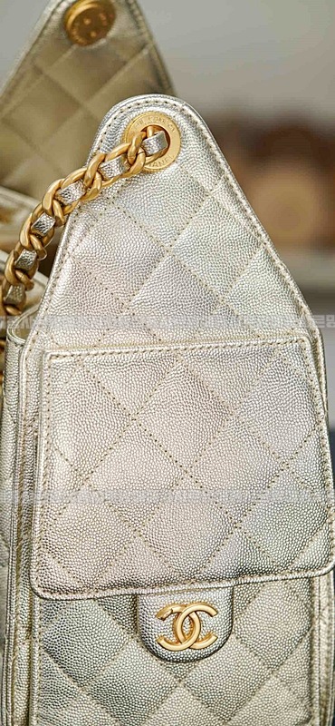 샤넬25스몰호보백 20260206-153903-021루.jpg