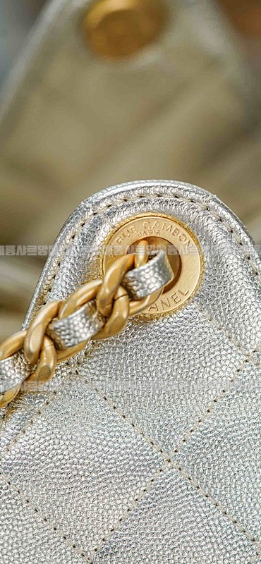 샤넬25스몰호보백 20260206-153904-029루.jpg