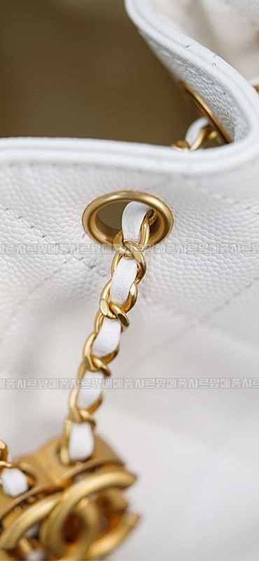 샤넬25스몰호보백 20260206-155715-033루.jpg