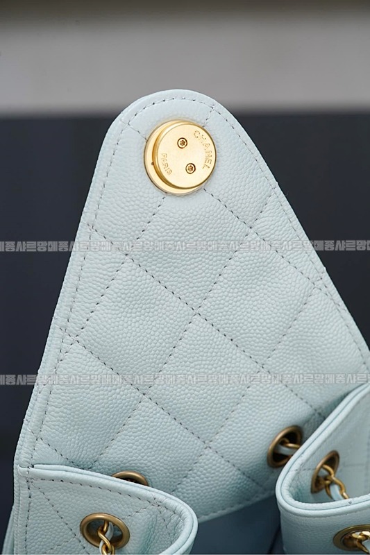 샤넬25스몰호보백 20260206-161755-037루.jpg