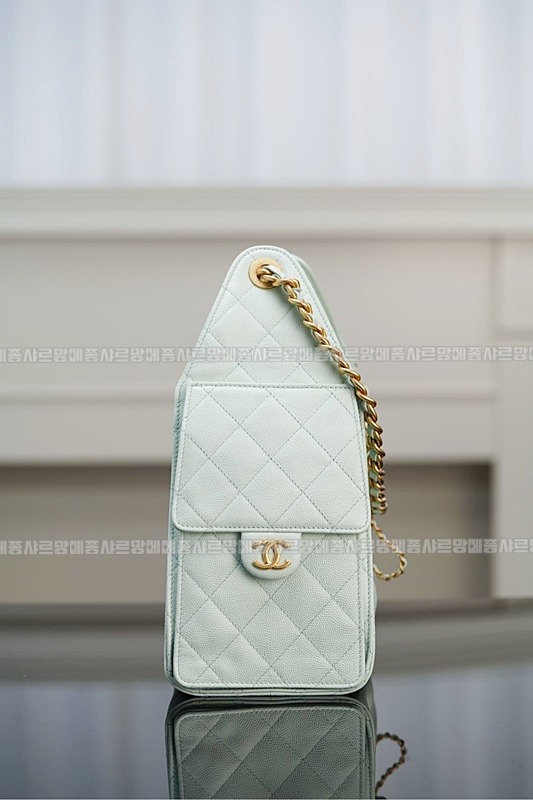 샤넬25스몰호보백 20260206-164733-015루.jpg