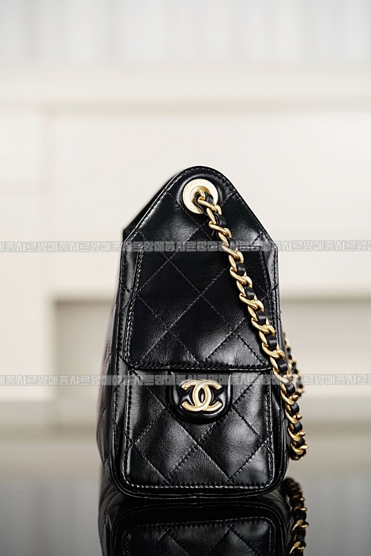 샤넬25B호보백미니 20260207-125115-015루.jpg