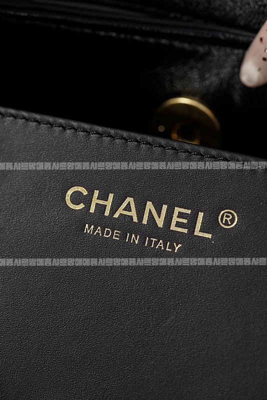 샤넬26C스몰호보백  20260208-113401-035루.jpg