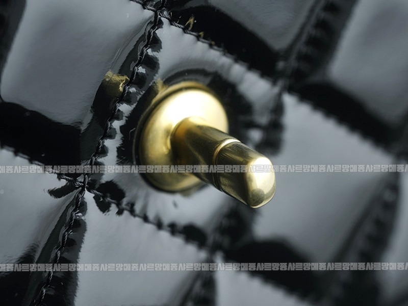 샤넬22K페이전트스쿨메모리백팩  20260208-134044-015루.jpg