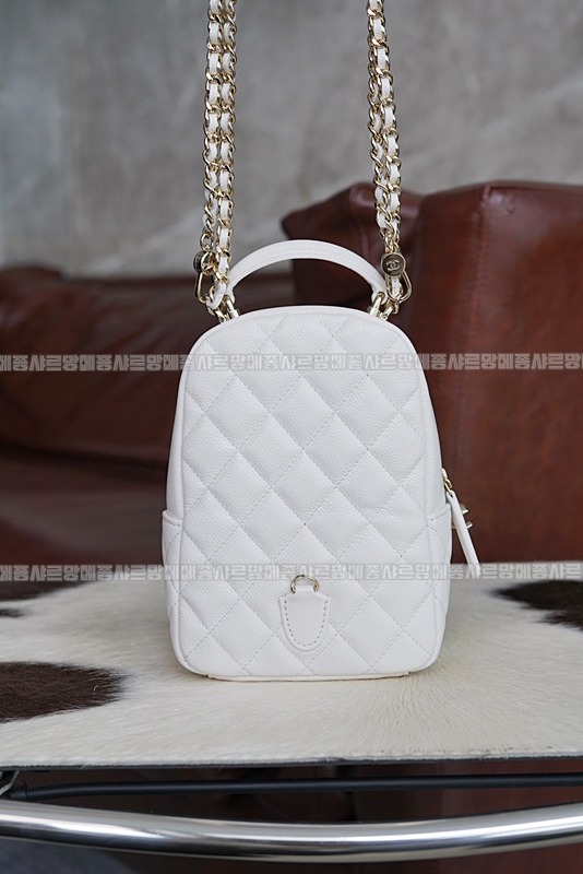 샤넬24C크루즈탑핸들미니백팩 20260208-164631-011루.jpg