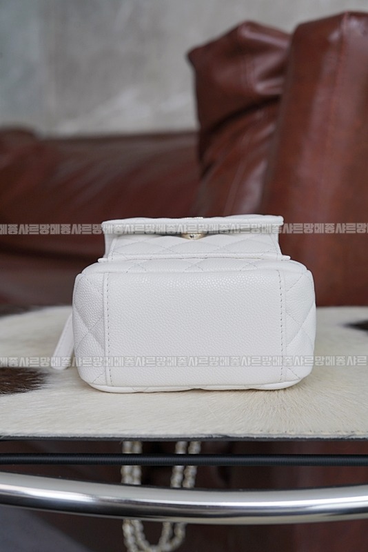 샤넬24C크루즈탑핸들미니백팩 20260208-164632-015루.jpg