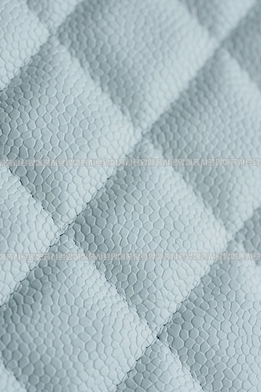 샤넬24C크루즈탑핸들미니백팩 20260208-164634-025루.jpg