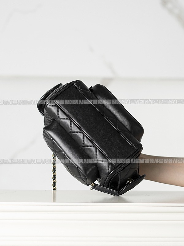 샤넬카메라케이스백 20260208-173013-016루.jpg