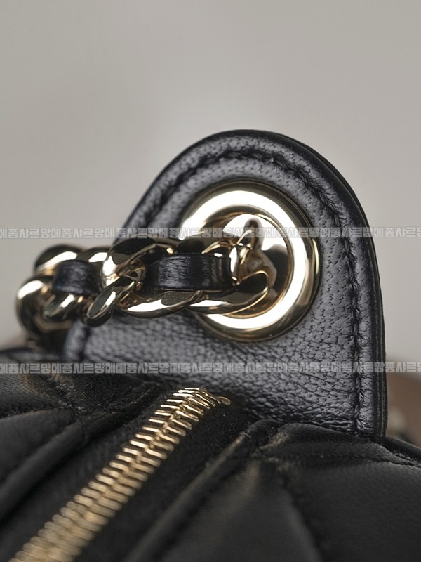 샤넬카메라케이스백 20260208-173013-017루.jpg