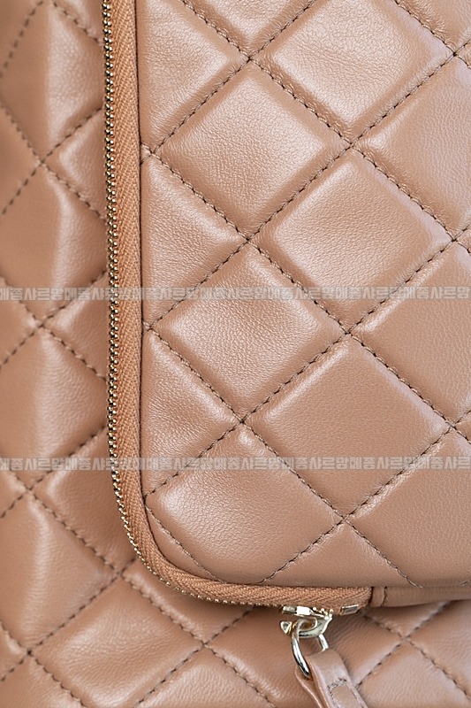 샤넬카메라케이스라지백 20260208-174713-025루.jpg