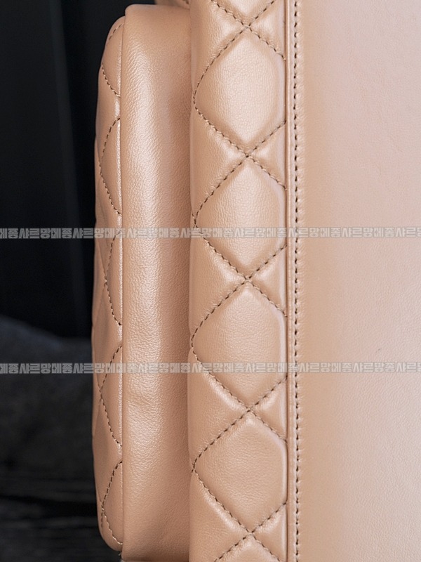 샤넬카메라케이스라지백 20260208-174713-027루.jpg