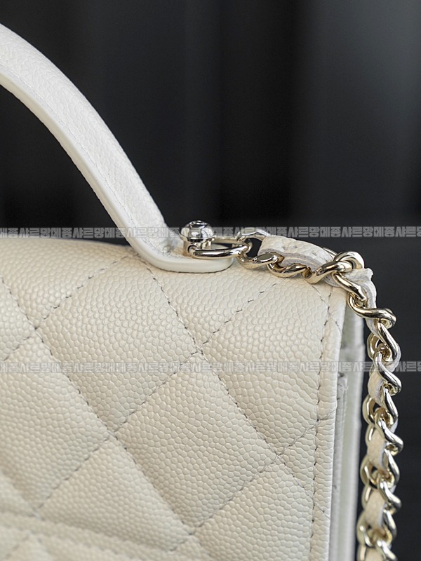 샤넬WOC캐비어스킨핸들백팩 20260209-102842-021루.jpg