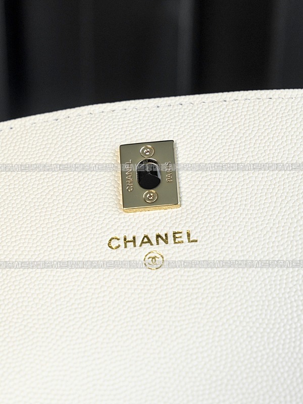 샤넬WOC캐비어스킨핸들백팩 20260209-102844-031루.jpg