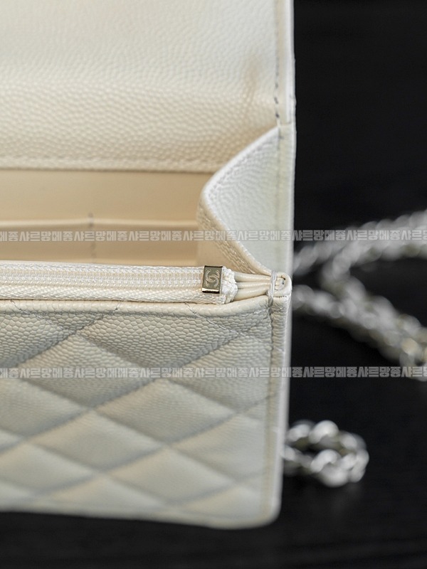 샤넬WOC캐비어스킨핸들백팩 20260209-102845-034루.jpg