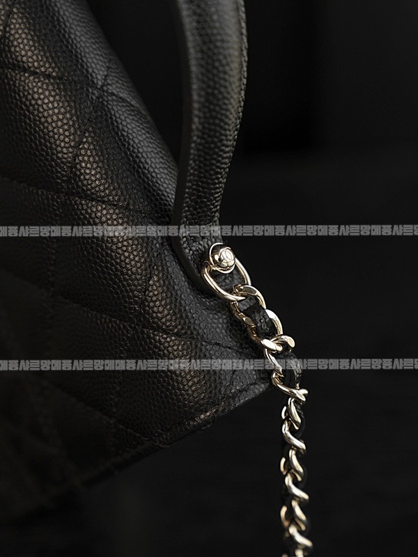 샤넬WOC캐비어스킨핸들백팩 20260209-103628-031루.jpg