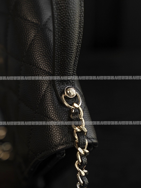 샤넬WOC캐비어스킨핸들백팩 20260209-103628-030루.jpg